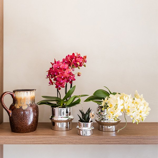 Kolibri Home | Chrome sierpot - Ø9cm