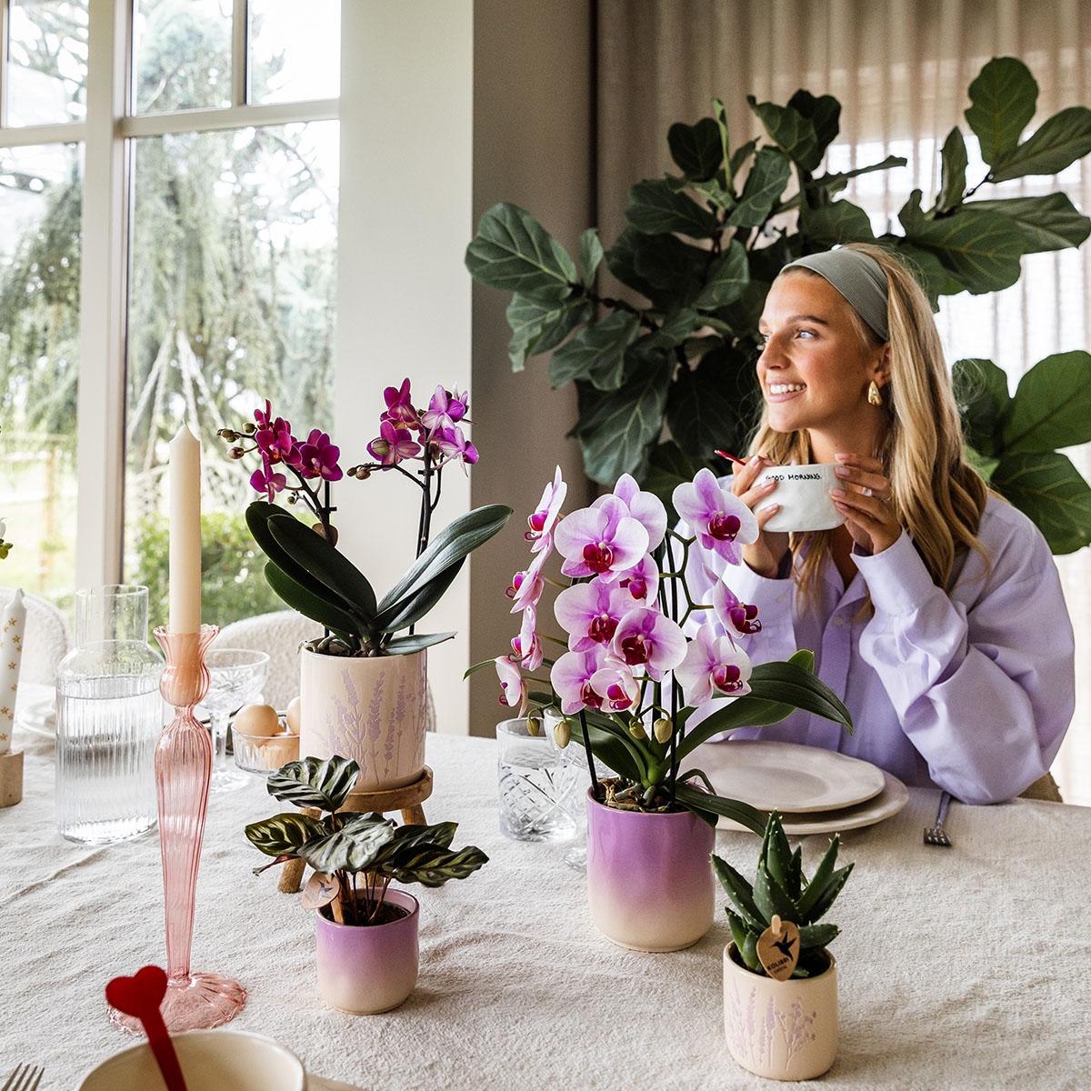 Kolibri Home | Vaso decorativo Gradience - Viola - Ø9cm