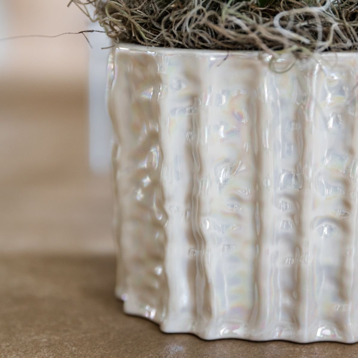 Kolibri Home | Oyster Twin sierpot - Ø12 cm