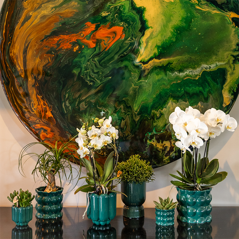 Kolibri Home | Cotton Shine sierpot - Green - Ø12cm