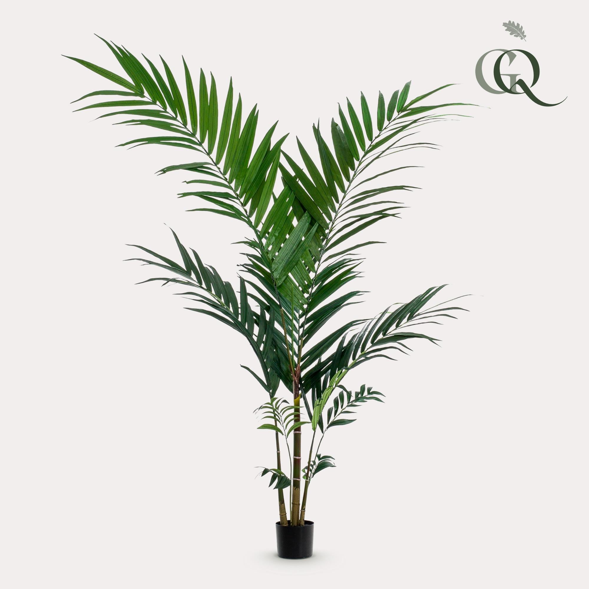 Pianta artificiale - Kentia - Palma Kentia - 150cm