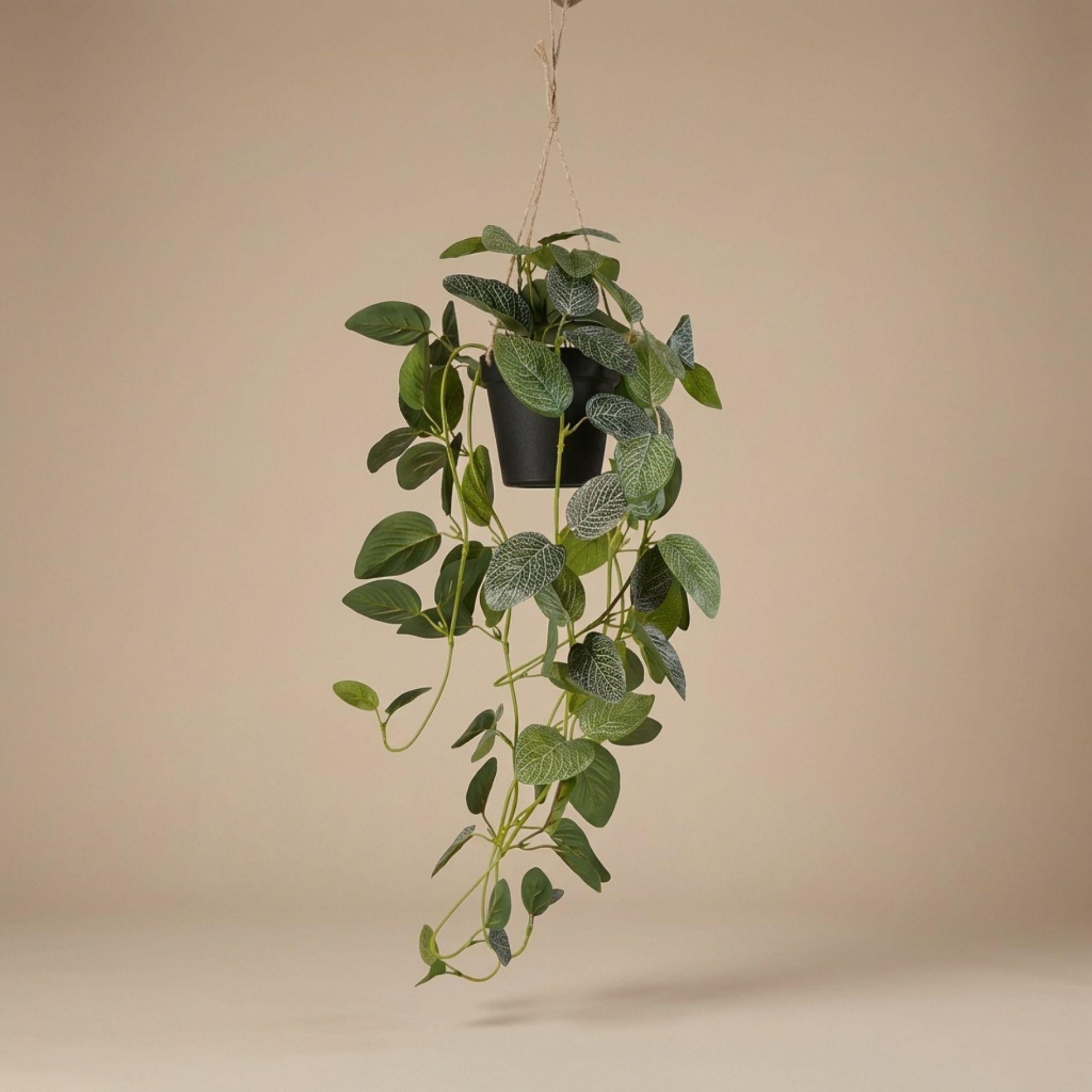 Fittonia - plante suspendue en pot - 70 cm - plante artificielle