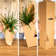 AKTION – Gartenkräutermischung – 4 Stück – Ø 14 cm – ↕ 18 cm