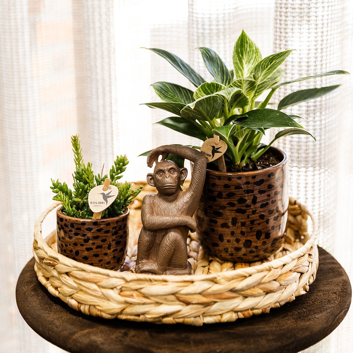 Kolibri Home | Dekorativer Leoparden-Übertopf – Ø 6 cm