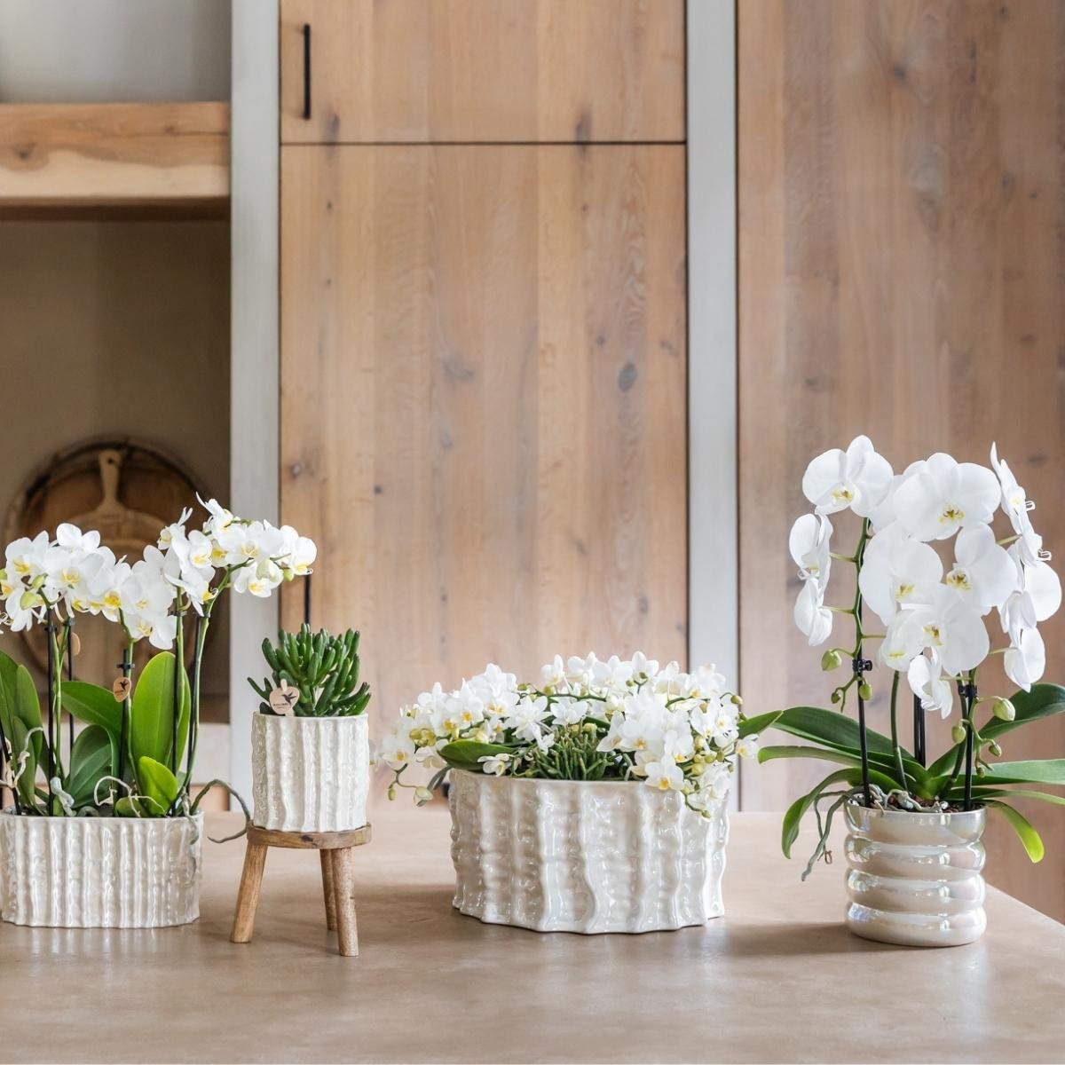 Kolibri Home | Oyster schaal - Ø30 cm