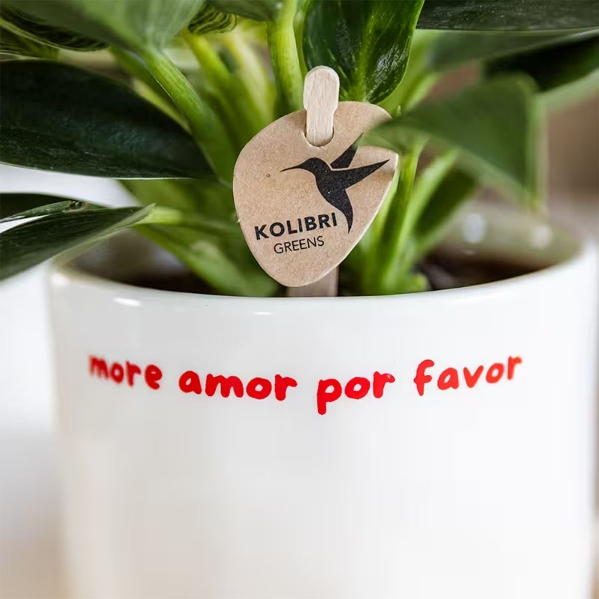Kolibri Home | More Amor Por Favor sierpot - Ø9cm