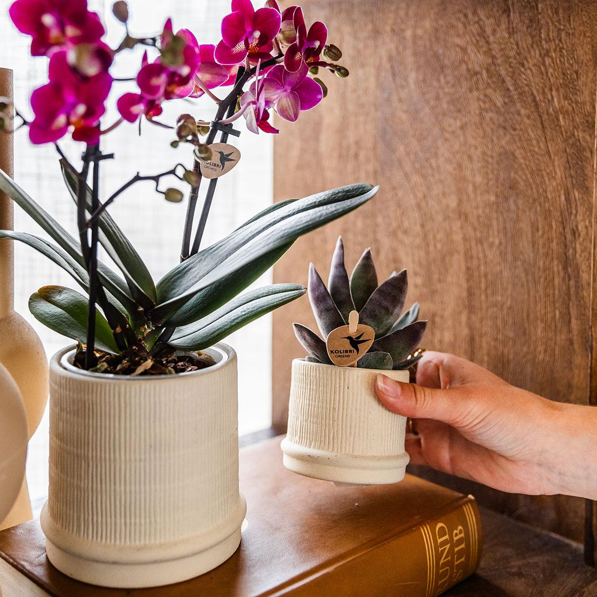 Kolibri Home | Bali sierpot  - Off White - Ø9cm