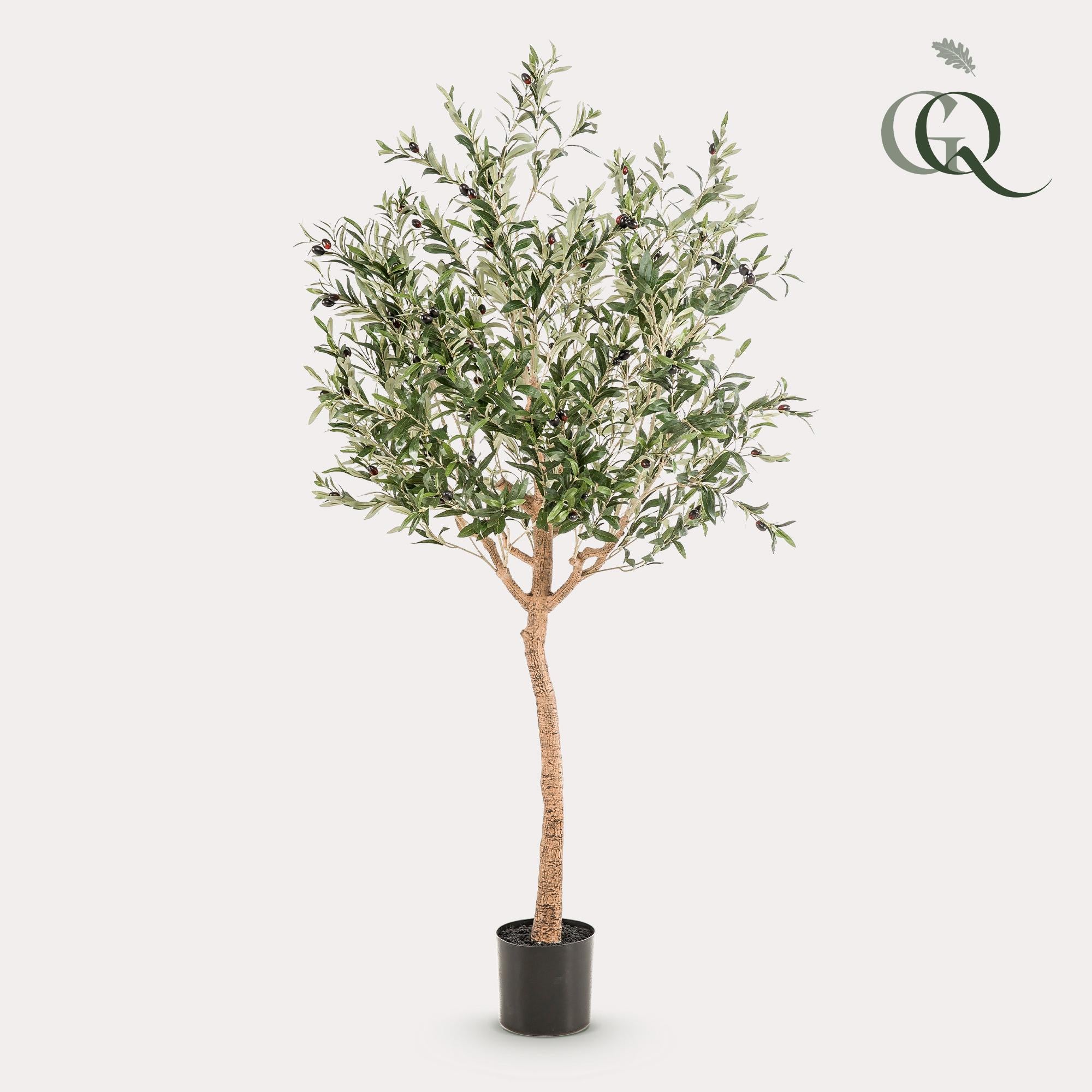 Künstlicher Olivenbaum – Olea europaea – Olivenbaum – 180 cm