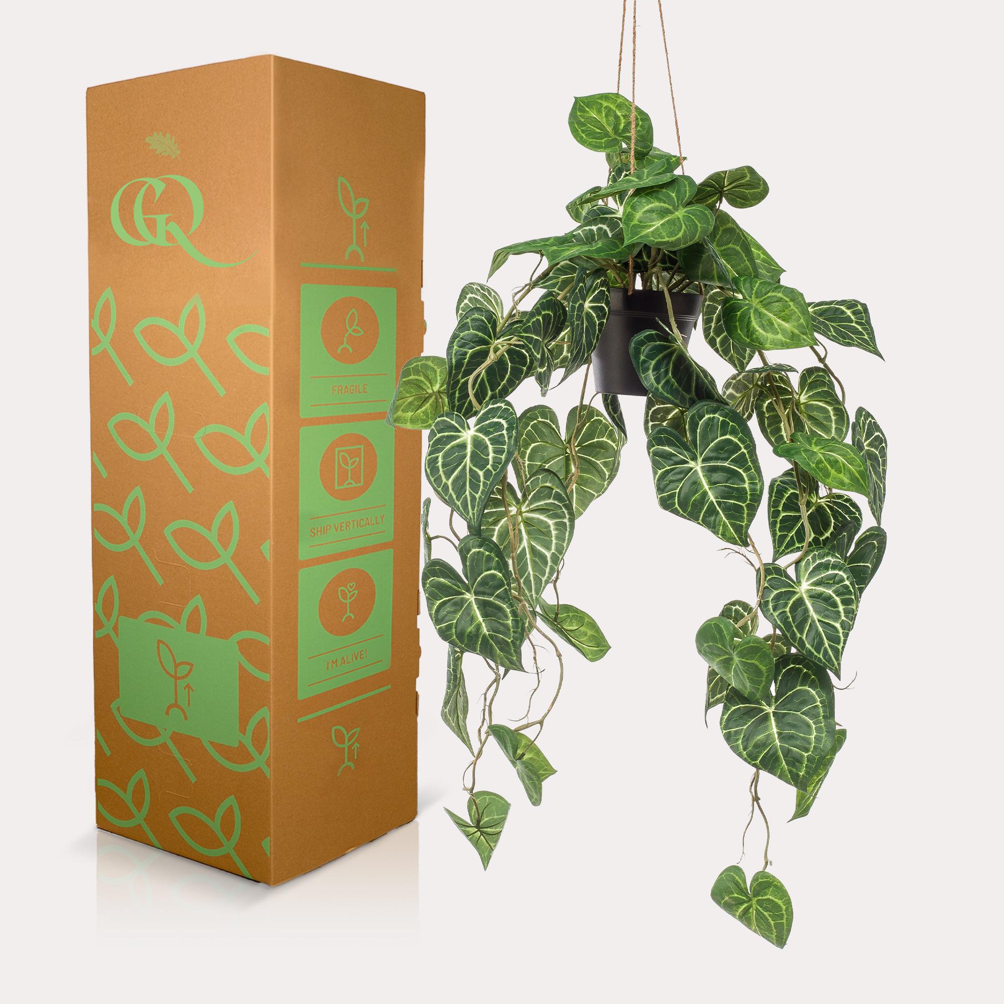 Pianta artificiale - Anthurium Clarinervium - Pianta nervata - 80 cm
