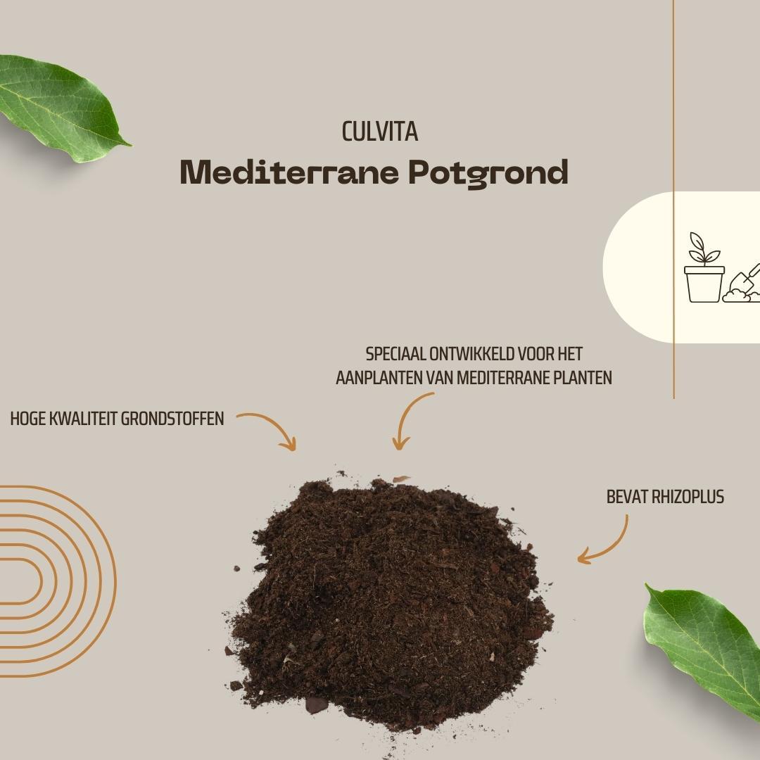 Culvita - Mediterranean Potting Soil 40 Liters including RhizoPlus - potting soil for Mediterranean plants, suitable for olive trees, citrus and palms