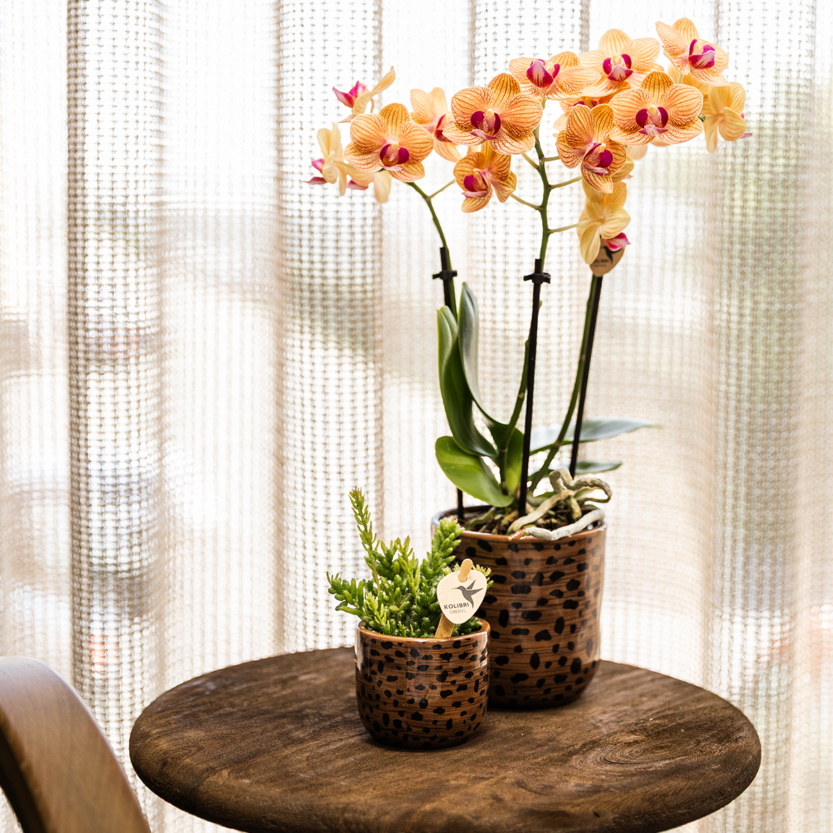 Kolibri Home | Dekorativer Leoparden-Übertopf – Ø 6 cm