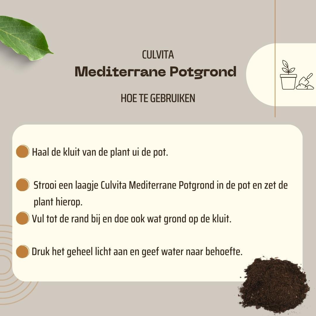 Culvita - Mediterranean Potting Soil 40 Liters including RhizoPlus - potting soil for Mediterranean plants, suitable for olive trees, citrus and palms