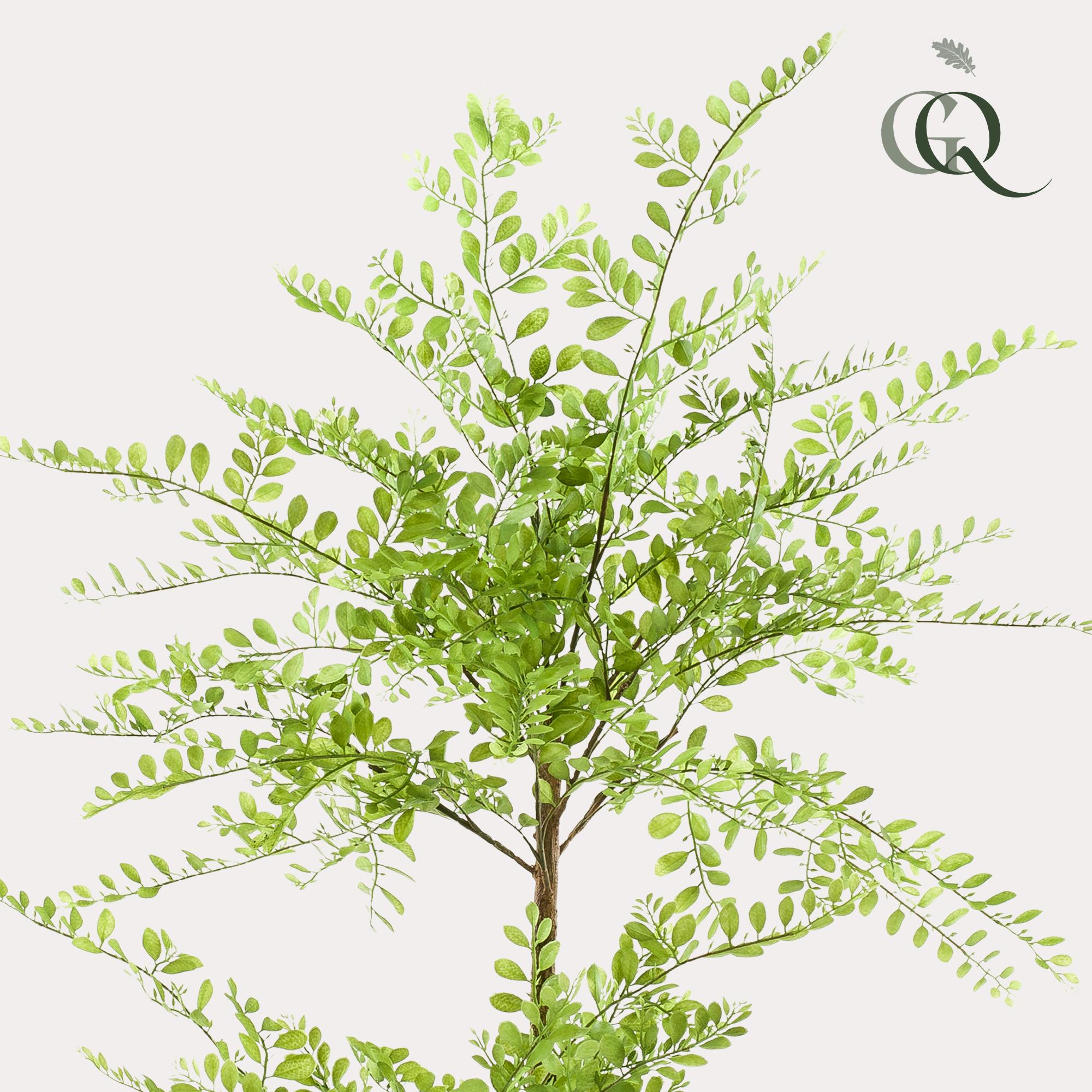 Künstliche Pflanze – Sophora-Baum – Honigbaum – 140 cm