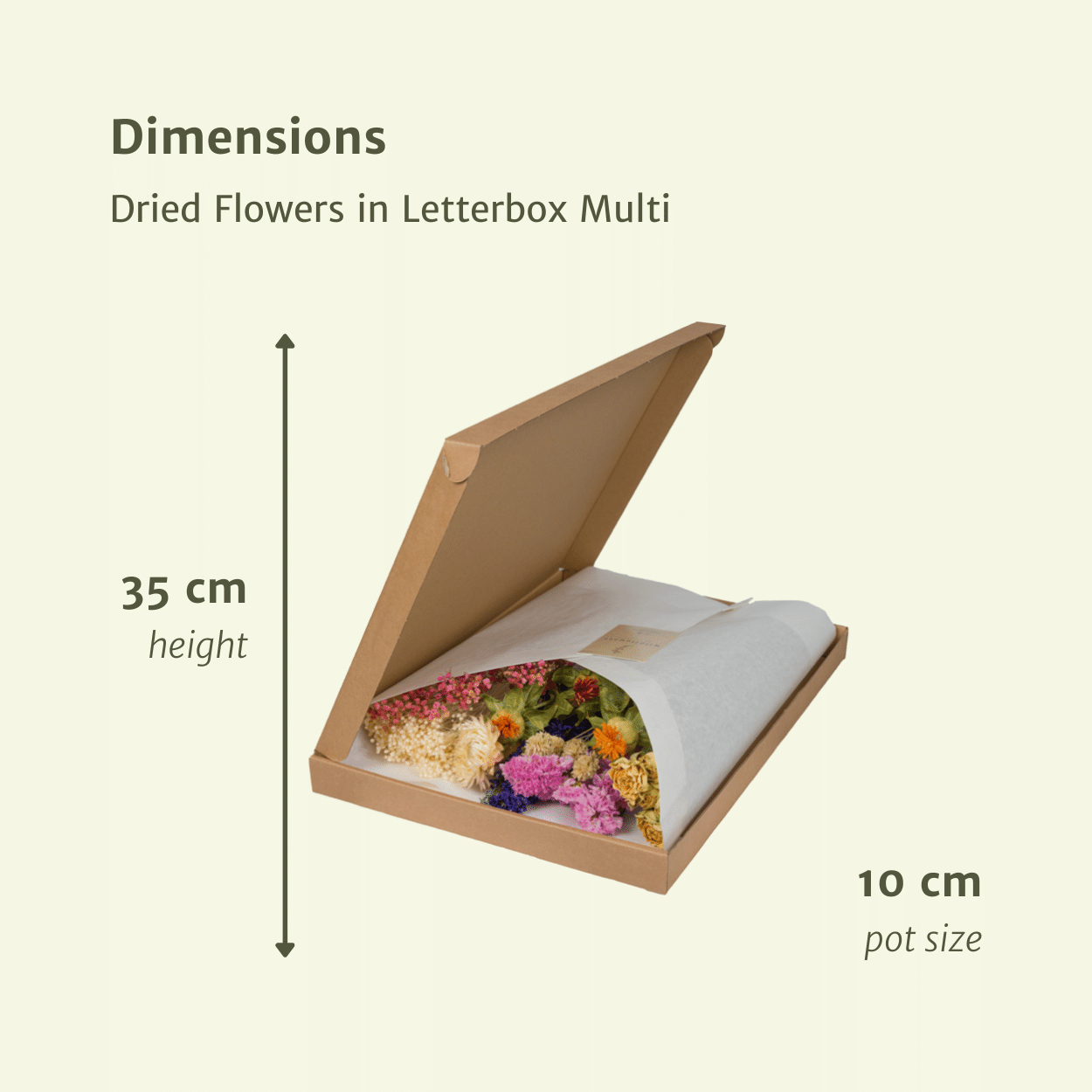 Dried flowers in Letterbox - Multi