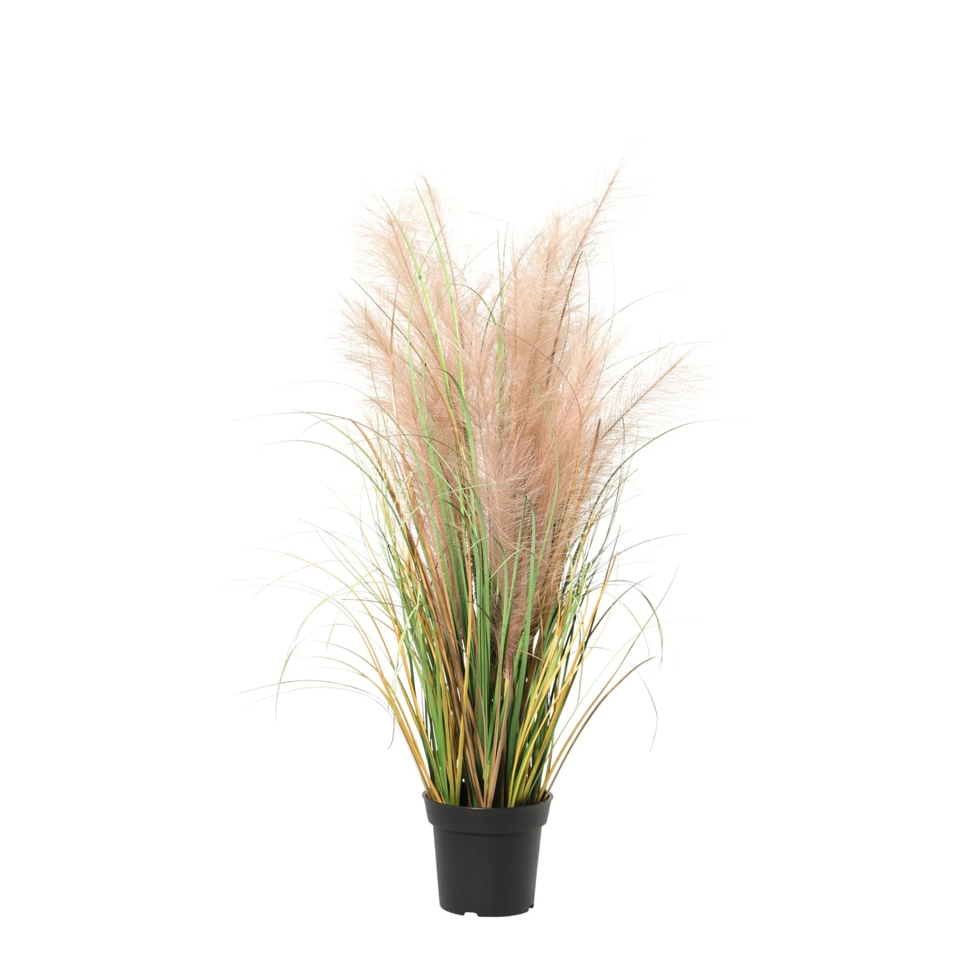 Kunstplant - Phragmites grass - 95cm