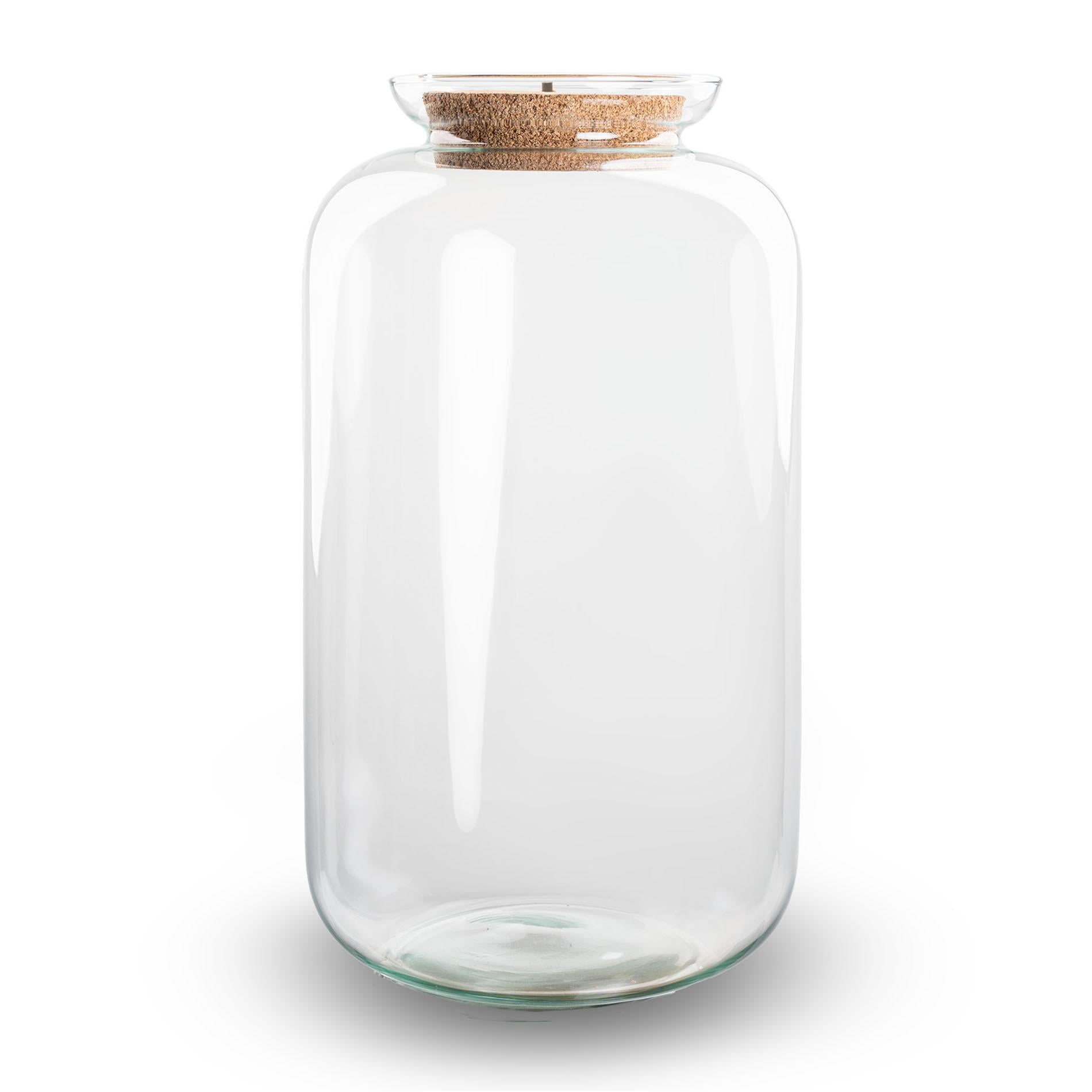 Terrariumflasche mit Beleuchtung im Korken - Modell: Sven XL - ↑ 43 cm