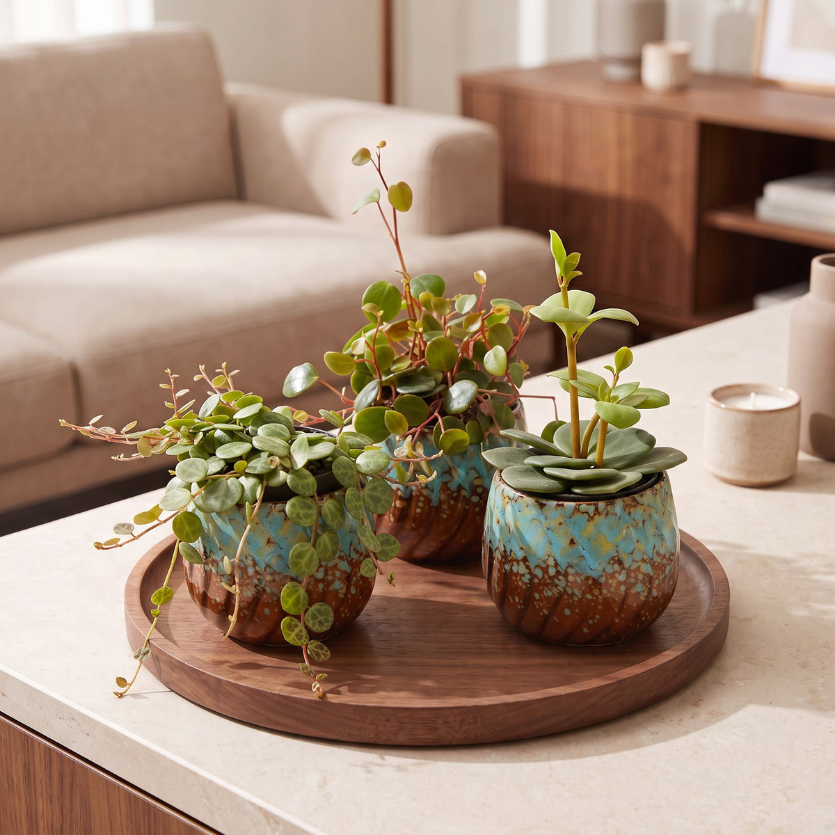 Baby Peperomia Mix 3x - Groen - Rood - Tropisch - incl. Copper Reef - Ø6cm - ↕5-15cm