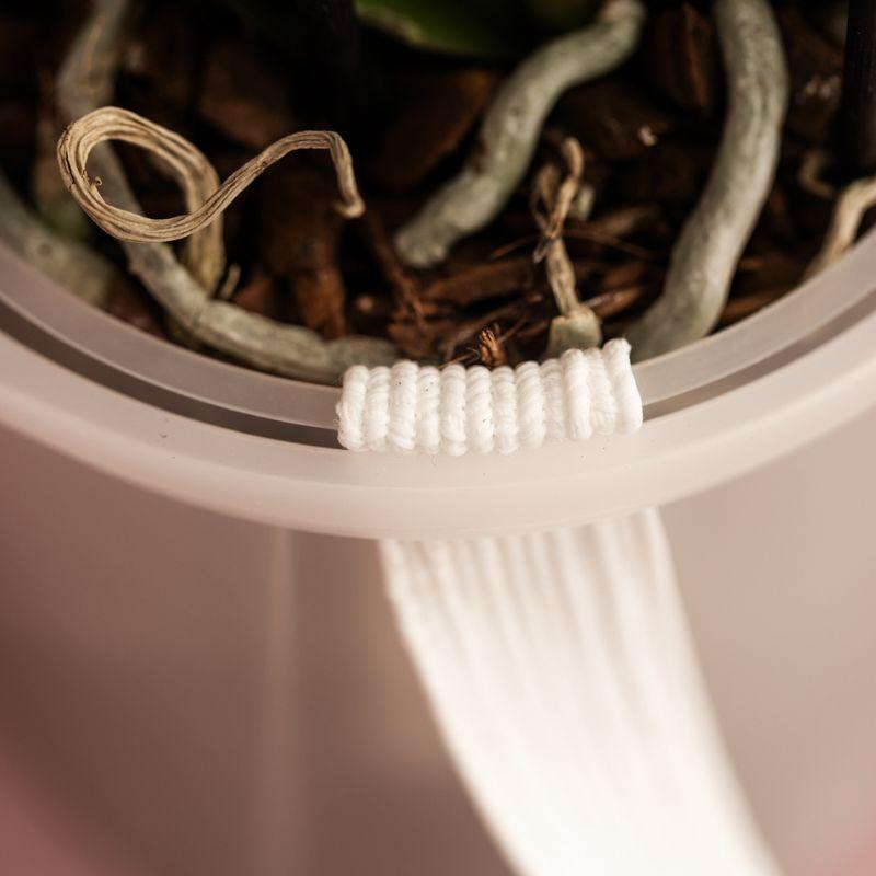 Kolibri Home | Como sierpot incl. watergeefsysteem - Ø12cm