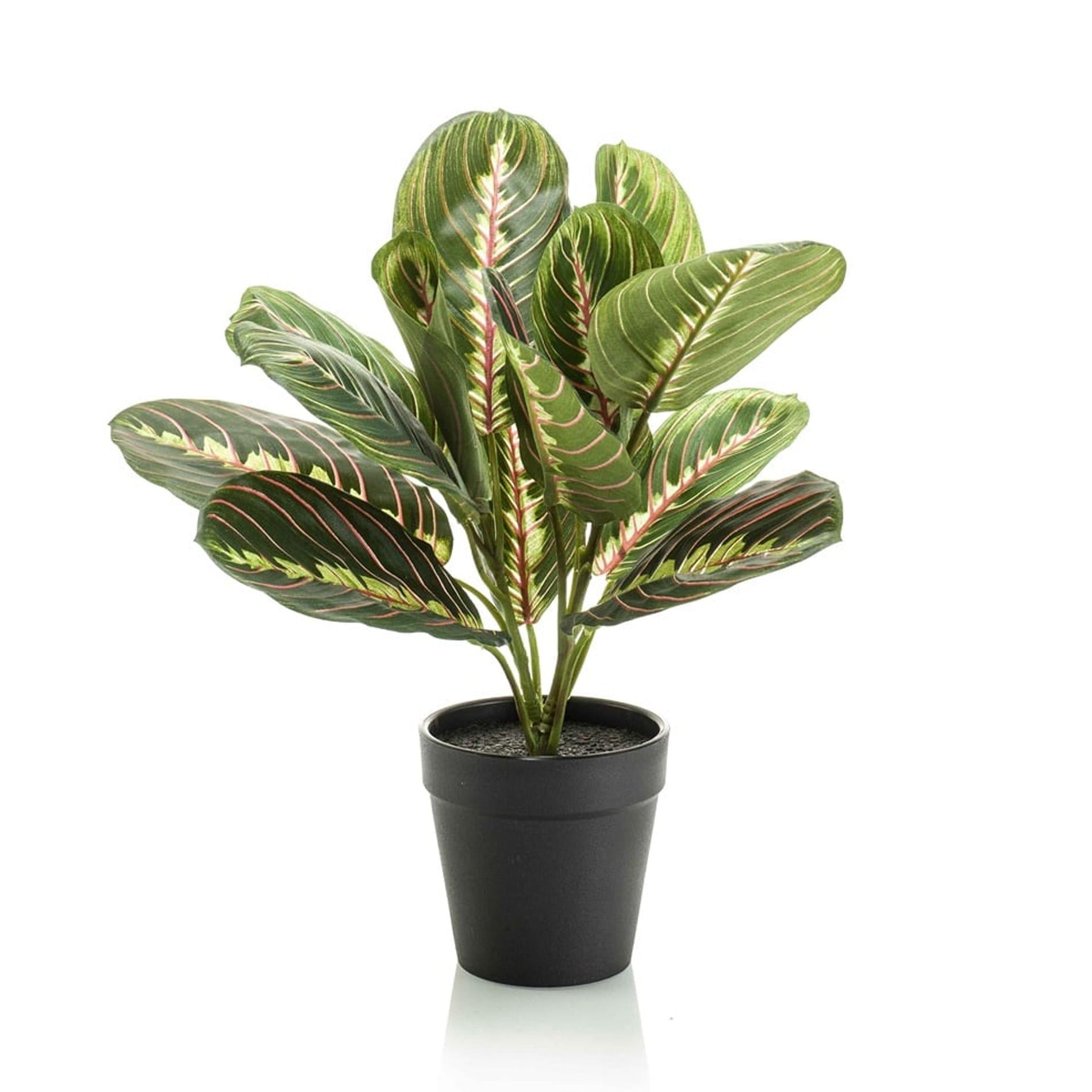 Maranta verde - 30cm - In vaso nero - Pianta artificiale