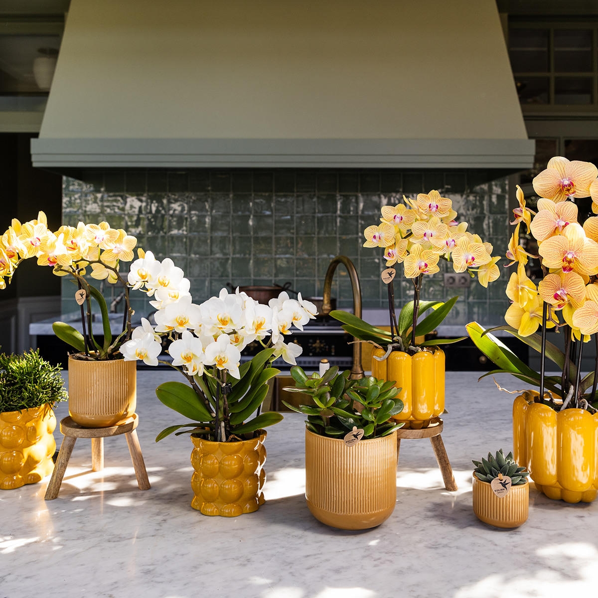 Kolibri Home | Flare sierpot - Ocher - Ø9cm