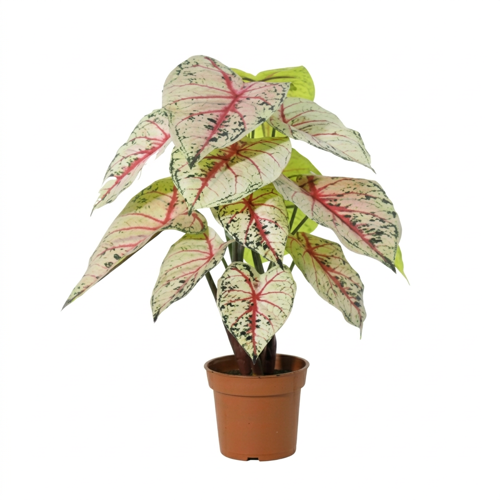 Kunstplant Caladium white / pink - 57cm