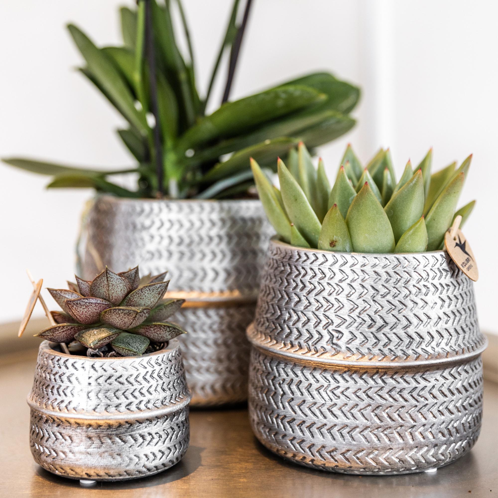 Kolibri Home | Groove Blumentopf – Silberner Keramik-Dekorationstopf – Ø 12 cm