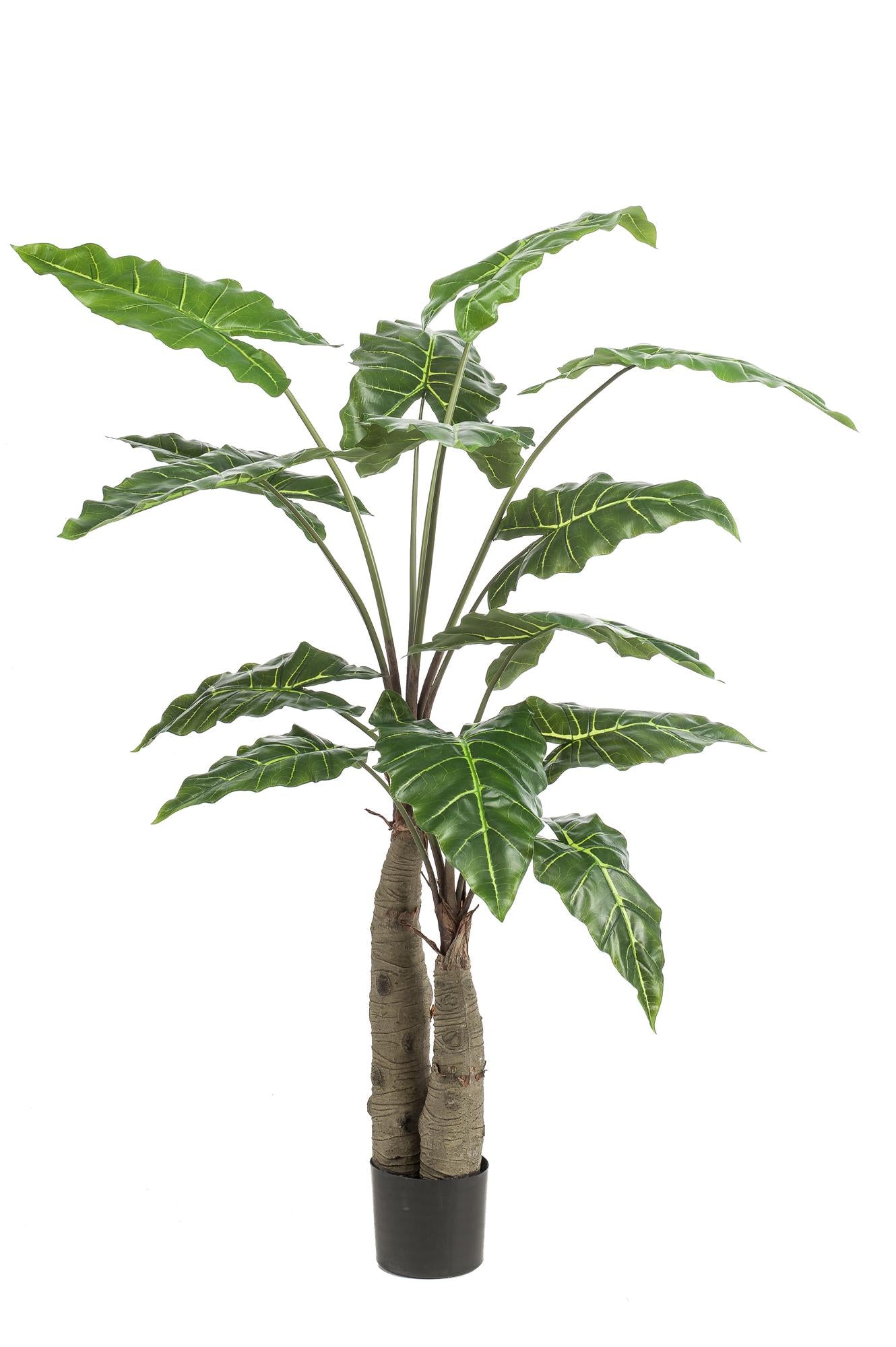 Artificial plant - Alocasia - Elephant ear - 150 cm