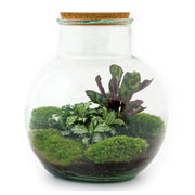 DIY-Terrarium – Teddy – ↕ 26,5 cm – Rechen + Schaufel + Pinzette