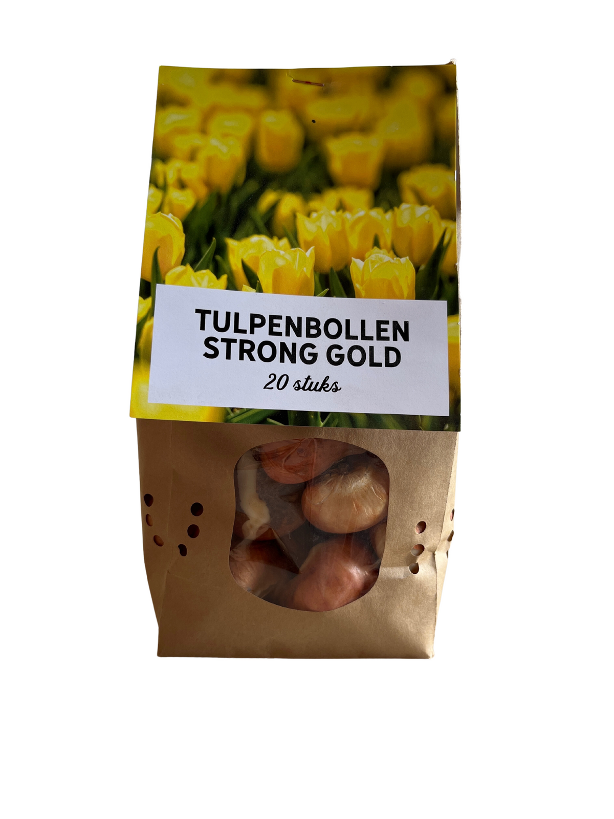 Bulbos de Tulipán Strong Gold – Paquete de 20 | KH Flower Bulbs® | Tulipán Amarillo – Radiante y Fuerte – Para Jardín o Maceta – Tamaño 11/12 – Recién Cultivado