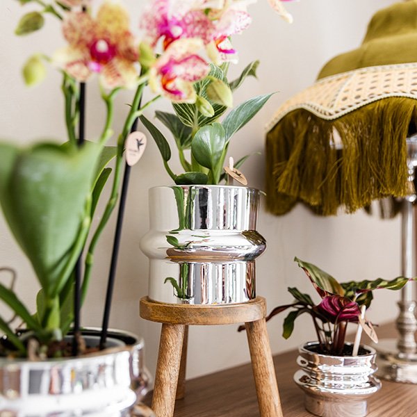 Kolibri Home | Chrome sierpot - Ø9cm