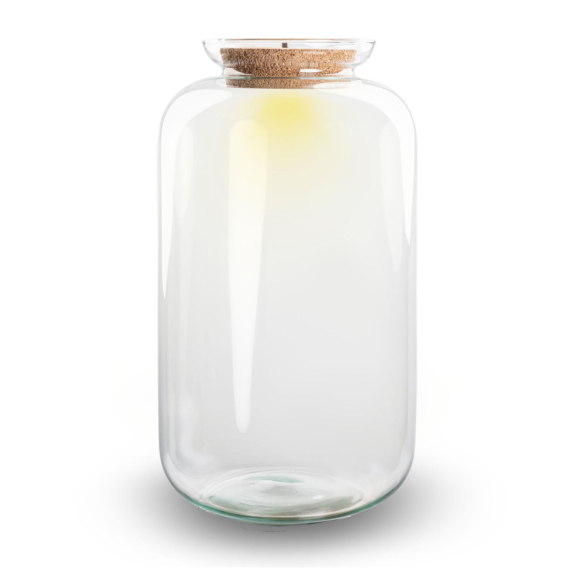 Terrariumflasche mit Beleuchtung im Korken - Modell: Sven XL - ↑ 43 cm