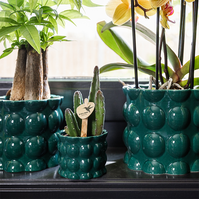 Kolibri Home | Cotton Shine sierpot - Green - Ø6cm