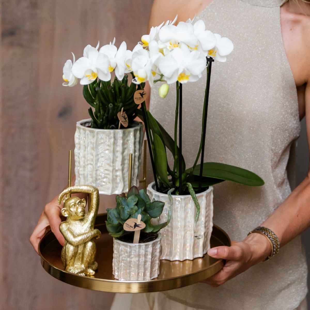 Kolibri Home | Oyster sierpot - Ø9cm
