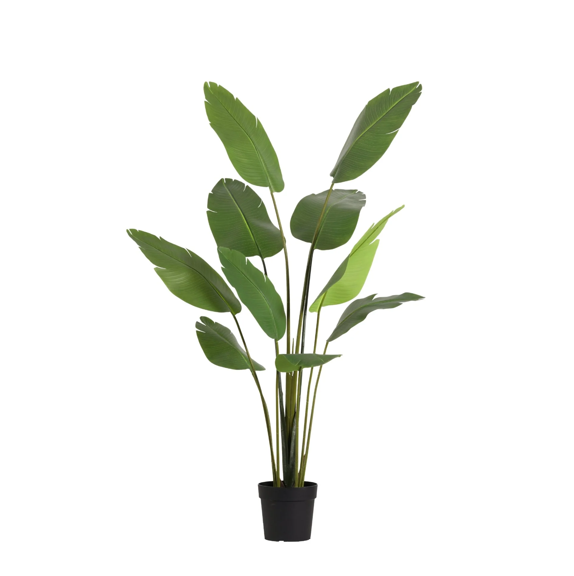 Kunstplant - Strelitzia Nicolai - 180cm