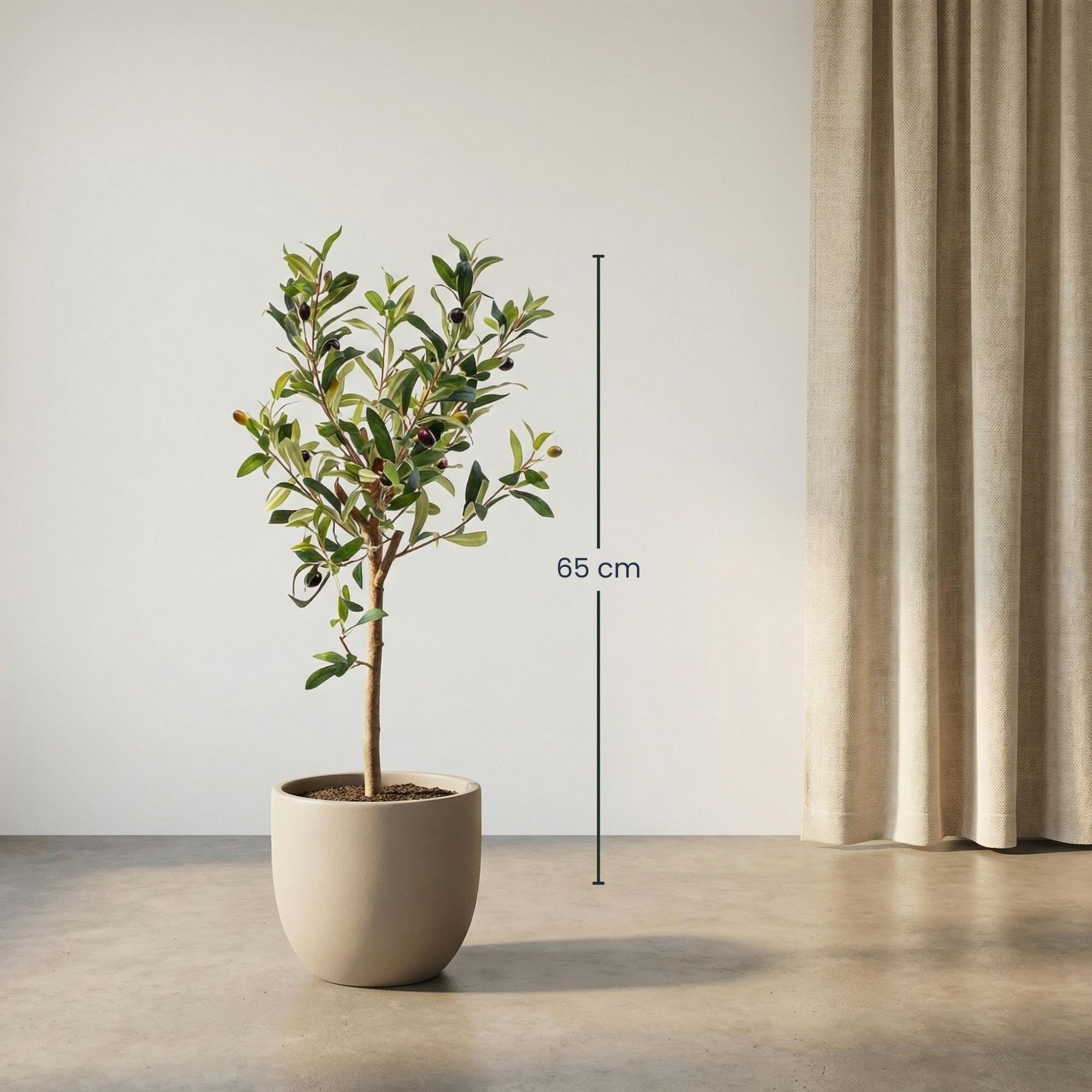Olivenbaum im Topf, 65 cm – Künstliche Pflanze