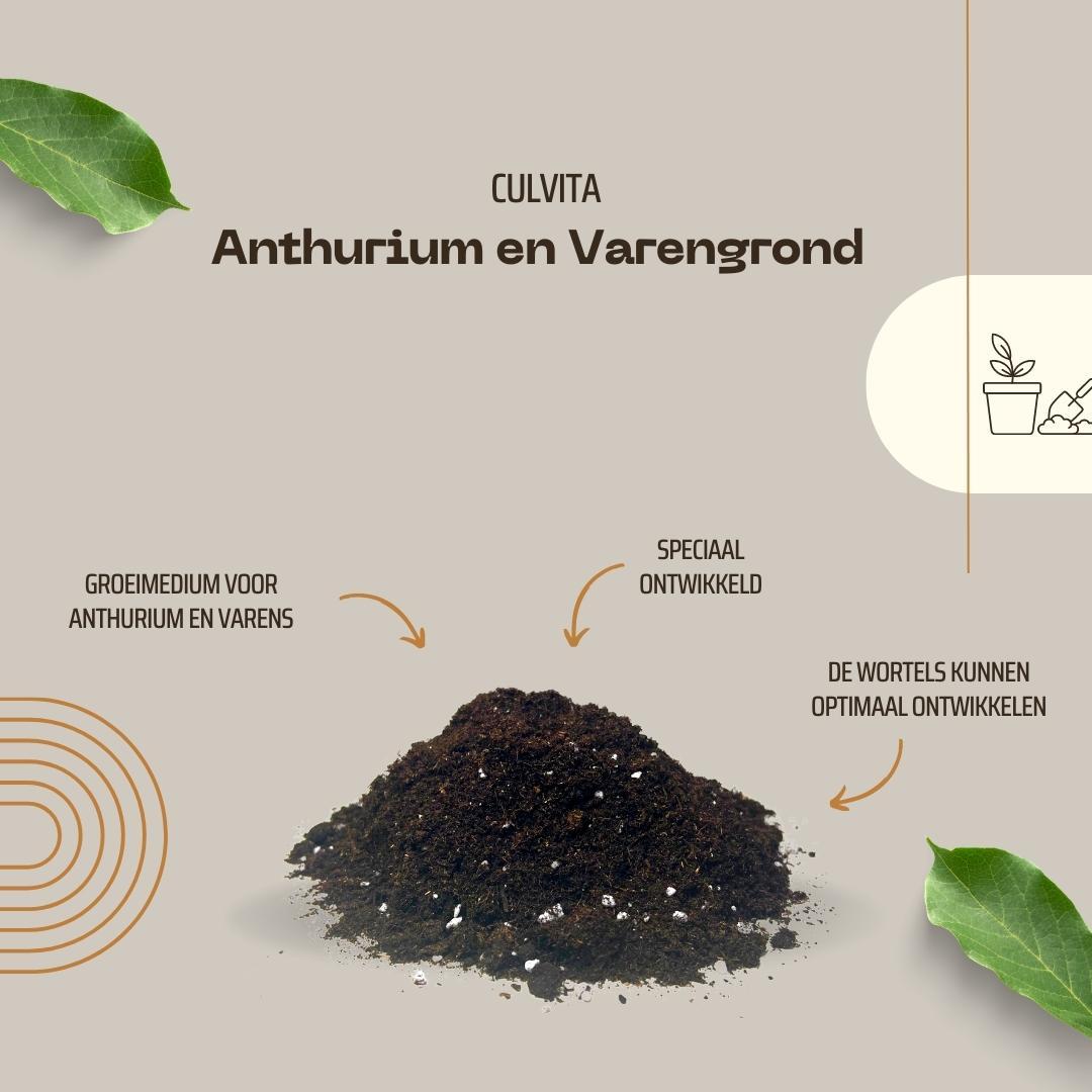 Culvita - Terriccio per Anthurium e Felci 5 litri - terriccio adatto per Anthurium e Felci