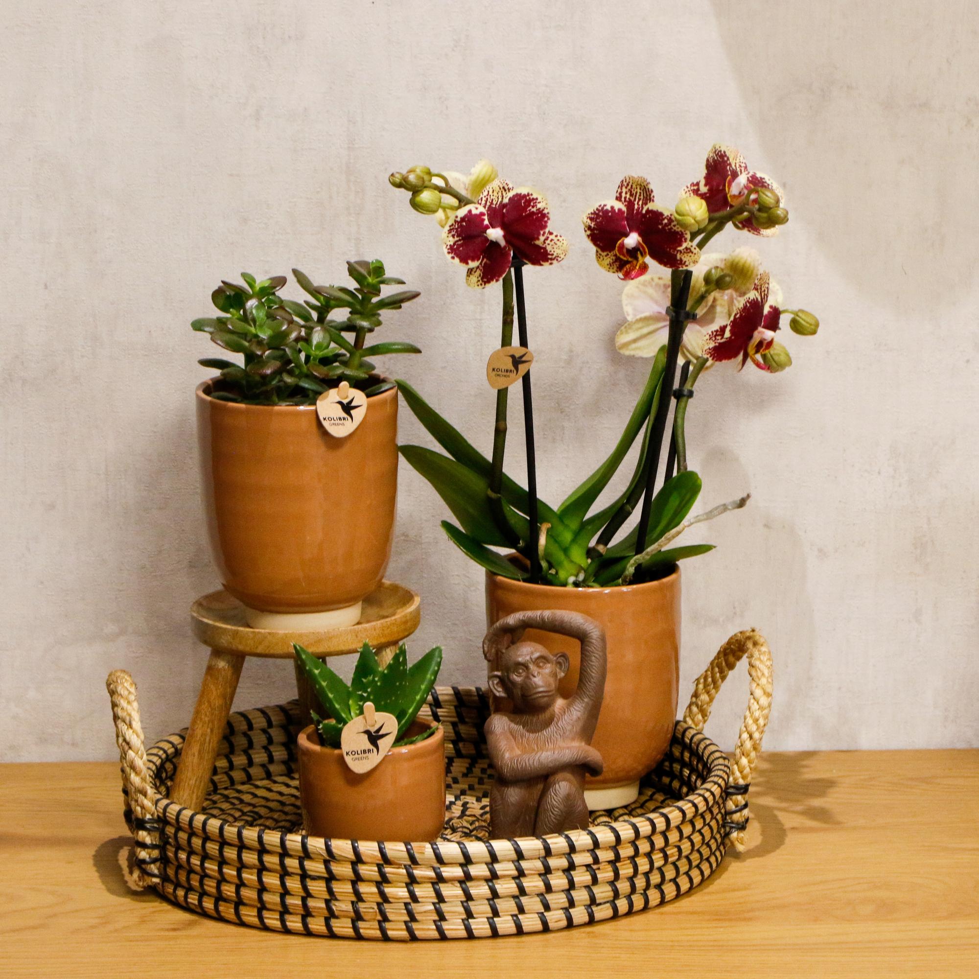 Kolibri Home | Dekorative Schale – Schwarzes Flechttablett Ø 30 cm