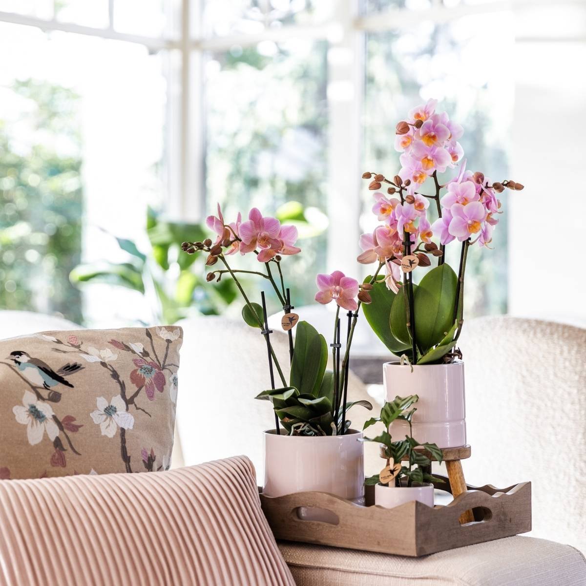 Kolibri Home | Pastel sierpot - Roze