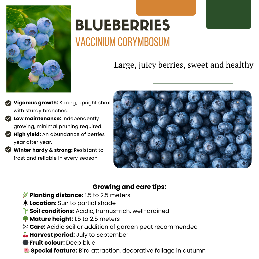"Fruit Oasis" Bio-Obstpflanzenmischung, Set mit 5 verschiedenen Sorten