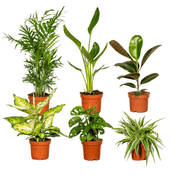 Caja sorpresa - Ø12cm - ↕25cm - x6