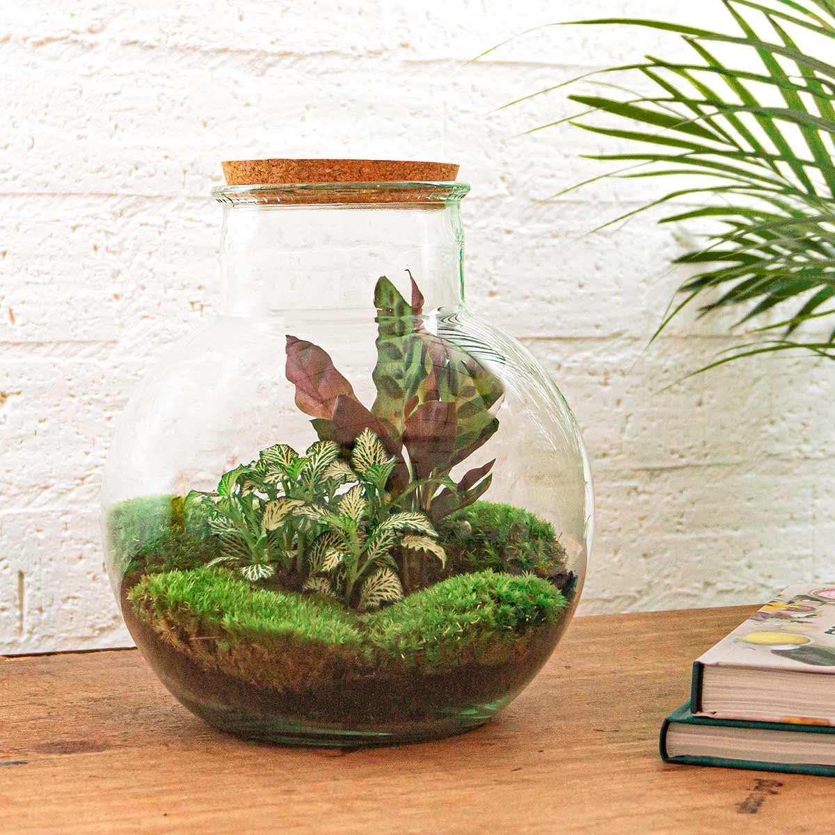 DIY-Terrarium – Teddy – ↕ 26,5 cm – Rechen + Schaufel + Pinzette
