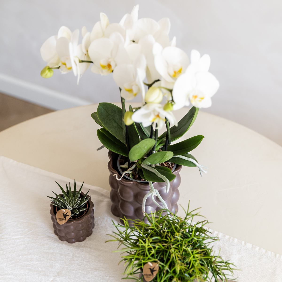 Kolibri Home | Cotton sierpot - Brown - Ø9cm