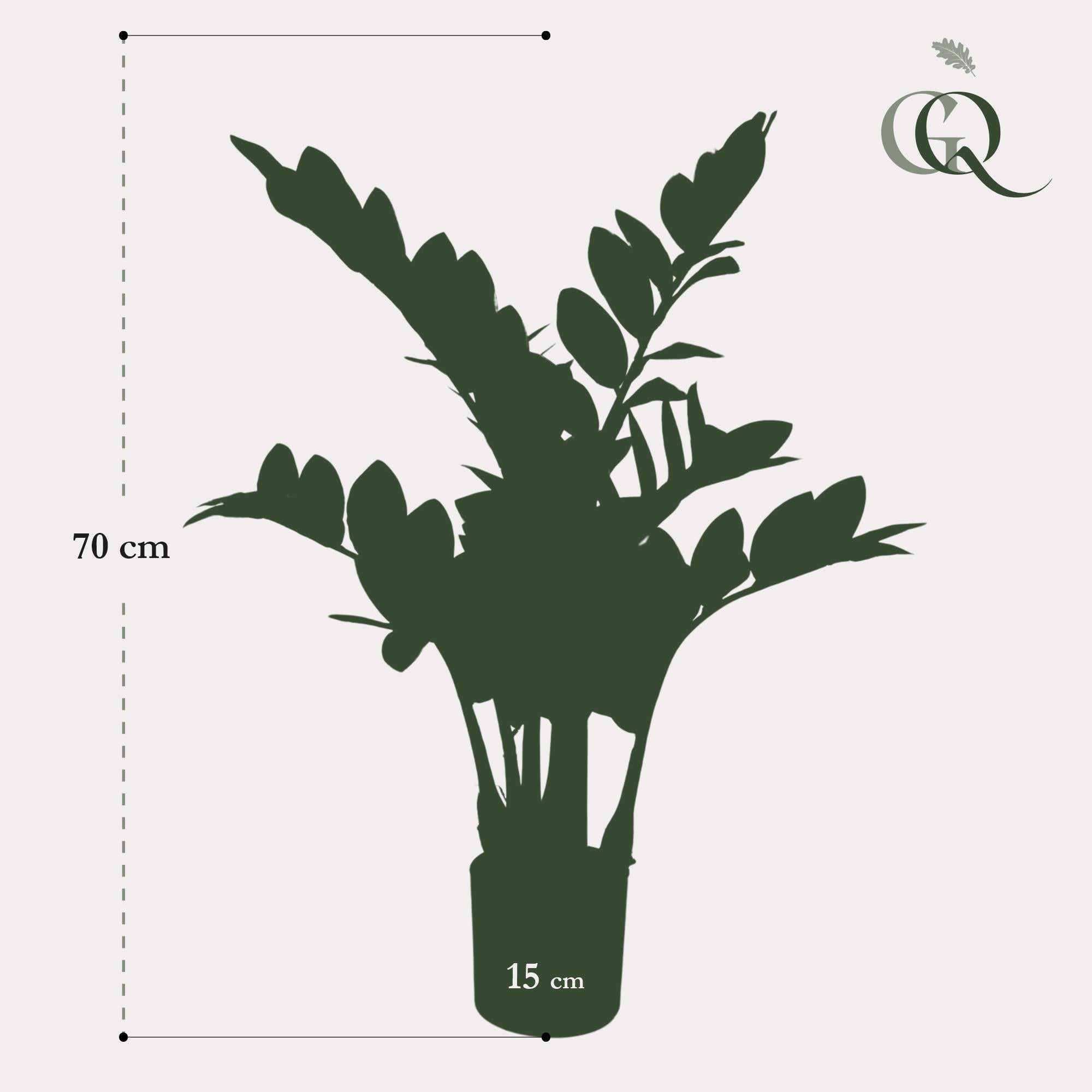 Artificial plant - Zamioculcas - Indoor palm - 70 cm