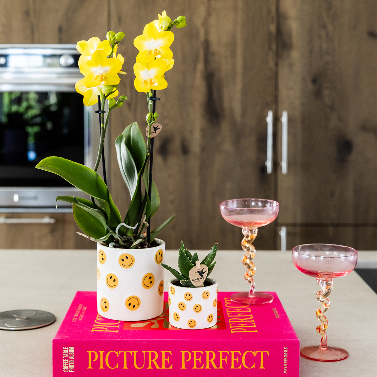 Kolibri Company | Plantenset Smiley | Gele Phalaenopsis Orchidee Albenga Ø9cm en Succulent incl. keramieken sierpotten