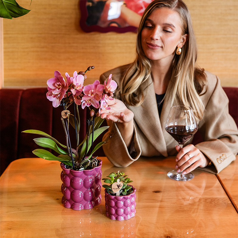 Kolibri Home | Cotton Shine sierpot - Purple - Ø9cm