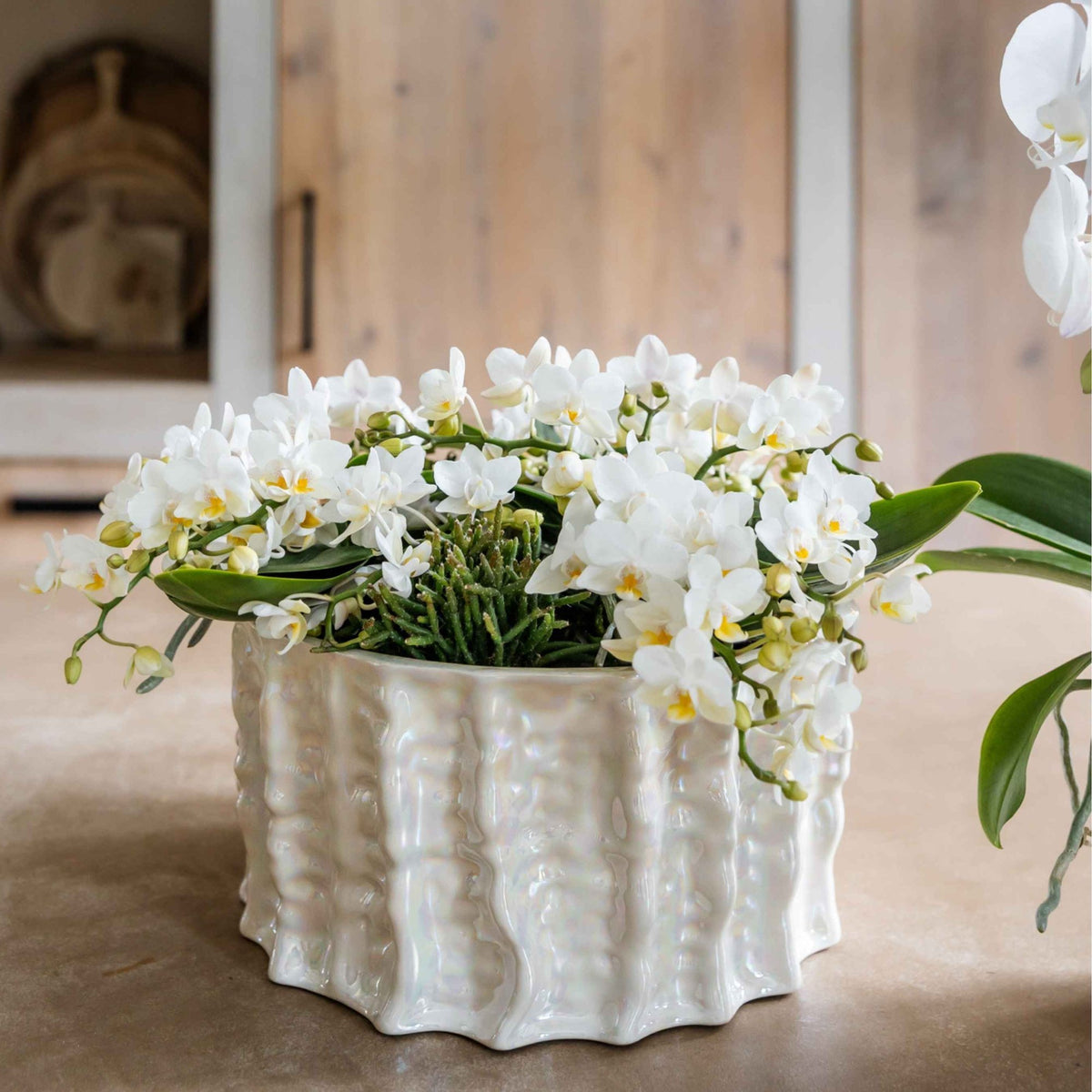 Kolibri Orchids | Witte Jungle Bouquet Botanic Nazare in Oyster Dish