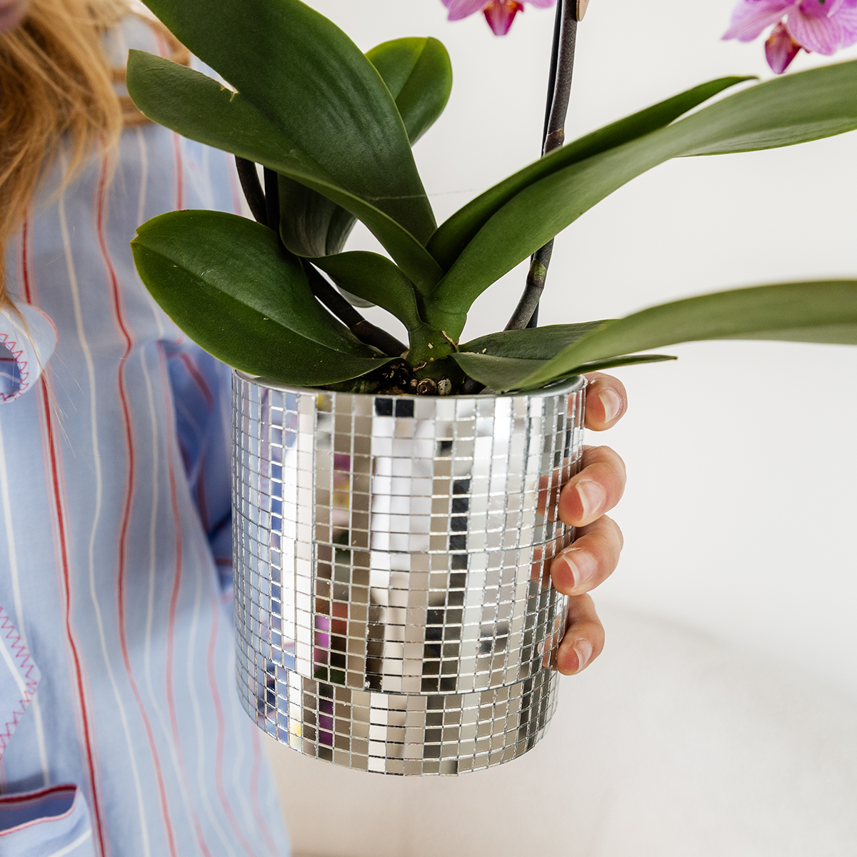 Kolibri Home | Dekorativer Disco-Übertopf – Ø 9 cm