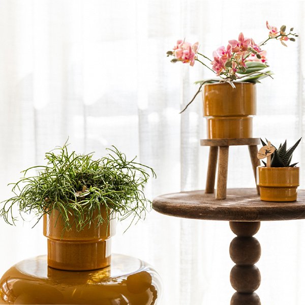 Kolibri Home | Timeless sierpot - Geel - Ø12 cm