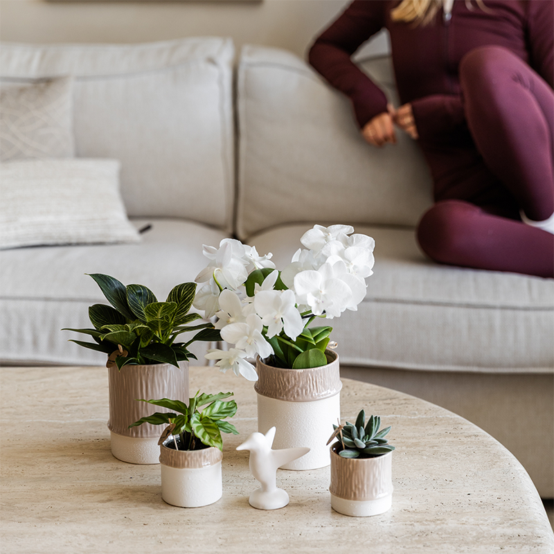 Kolibri Home | Tree sierpot - Sand - Ø9cm