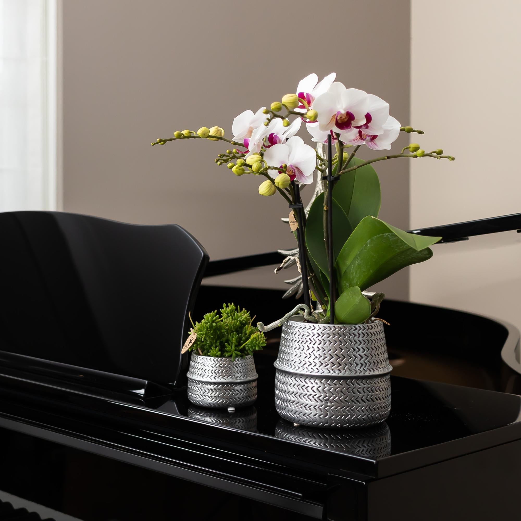 Kolibri Home | Groove bloempot - Zilveren keramieken sierpot - Ø9cm